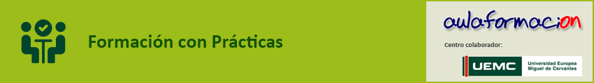 Prácticas en empresas