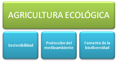 agricultura-ecologica-objetivos