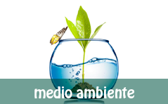 cursos-medioambiente