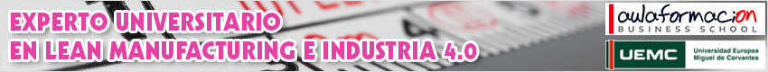 experto-universitario-lean-manufacturing-banner