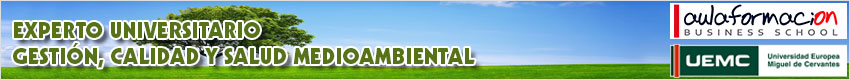 experto-universitario-gestion-calidad-salud-medio-ambiental-banner