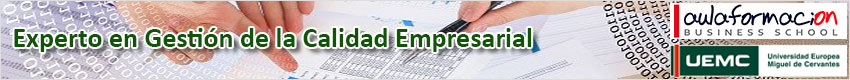 experto-calidad-empresarial-banner