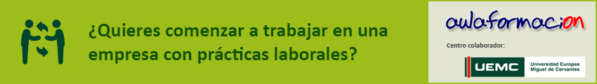 prácticas en empresas