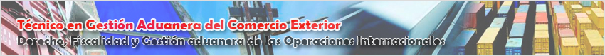 tecnico-gestion-aduanera-comercio-exterior