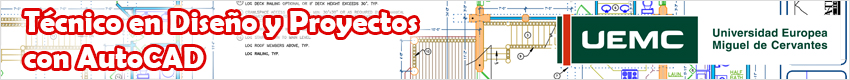 Tecnico Diseno y Proyectos Autocad