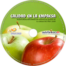 curso-auditorias-internas-iso-9001-cd