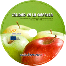 curso-como-afecta-al-trabajador-la-implantacion-de-la-norma-iso-9000-en-su-empresa-cd