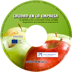 curso-el-modelo-europeo-efqm-cd