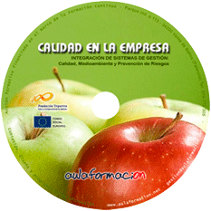 curso-integracion-de-sistemas-calidad-medioambiente-prevencion-riesgos-laborales-cd