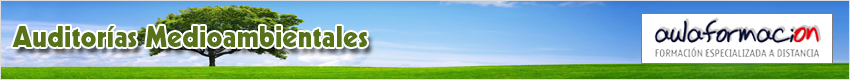 curso-auditorias-medioambientales-banner