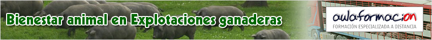 curso-bienestar-animal