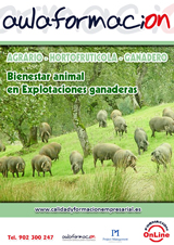 curso-bienestar-animal