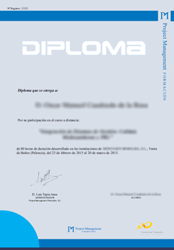 diploma pm consultores Gestión de la Calidad ISO 9001