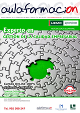 curso con prácticas experto-gestion-calidad-empresarial