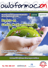 cursos con prácticas experto-en-gestion-medioambiental