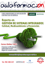 curso con prácticas experto-sistemas-integrados-calidad-medioambiente-prevencion