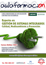 experto-sistemas-integrados-calidad-medioambiente-prevencion