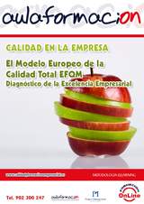 modelo-europeo-calidad-total-efqm