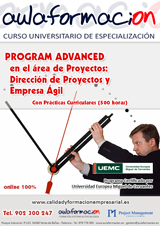 programa-practicas-direccion-proyectos-empresa-agil