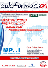 program-advanced-project-management-pmi