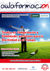 programa-tecnico-competencias-y-habilidades-personales-para-la-efectividad-en-el-trabajo