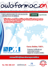 curso-universitario-Direccion-Gestion-de-Proyectos-Metodologia-PMI