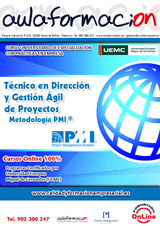 tecnico-direccion-y-gestion-agil-de-proyectos-metodologia-pmi-programa