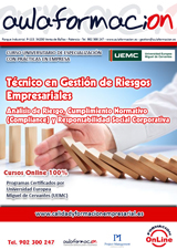 cursos-con-practicas-en-empresas-tecnico en gestión de riesgos y compliance