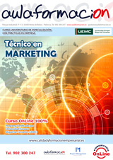 cursos-con-practicas-en-empresas-tecnico en marketing