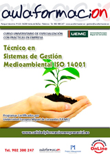 tecnico-sistemas-de-gestion-medioambiental-ISO-14001