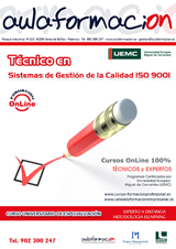 cursos-con-practicas-en-empresas-tecnico-sistemas-gestion-calidad-iso-9001