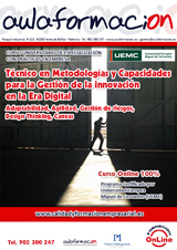 programa_tecnico_en_innovacion_diseno_y_desarrollo